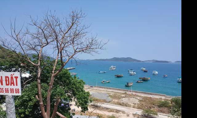 'Hạ Long phương Nam' đang bị... 'tùng xẻo'