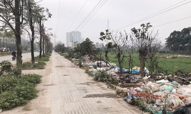 Hà Nội: Vỉa hè lát đá nghiêng, lún, nứt bên ruộng rau muống