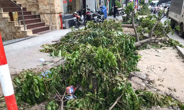 Đơn vị nào chặt hạ cây xanh như ‘đốn củi’ ở vỉa hè Hà Nội?