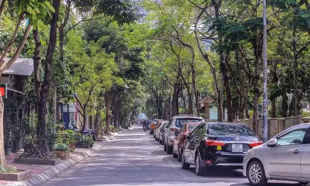 Con phố được đặt tên Lưu Quang Vũ ở Hà Nội. Ảnh: Duy Phạm