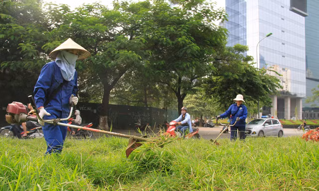 Hà Nội cắt cỏ trở lại: Chết máy vì cỏ quá rậm