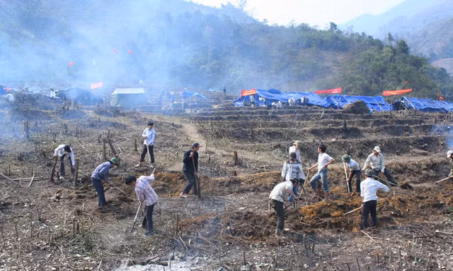 Người trẻ khai phá "cánh đồng ma"
