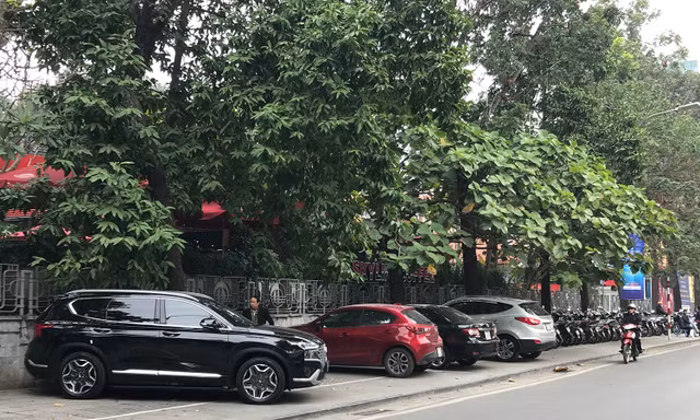 Hà Nội: Quận Hoàn Kiếm giải toả 11 điểm trông giữ ô tô trên vỉa hè