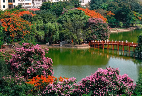 Chủ tịch Hà Nội: Không có chuyện thay cây ở Hồ Gươm