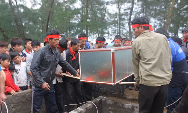 Hàng trăm người tổ chức chôn cá voi ở nghĩa địa