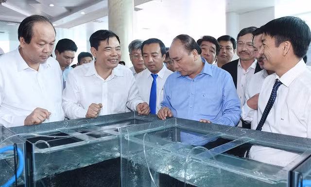 Thủ tướng thăm khu vực trưng bày tôm giống tại một cơ sở sản xuất.