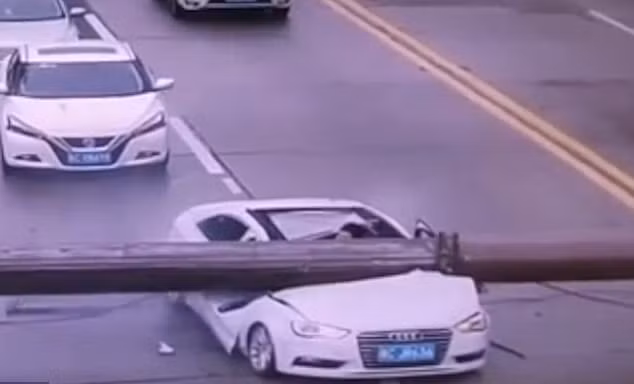 Cần trục khổng lồ đè bẹp xe ôtô, tài xế sống sót thần kỳ