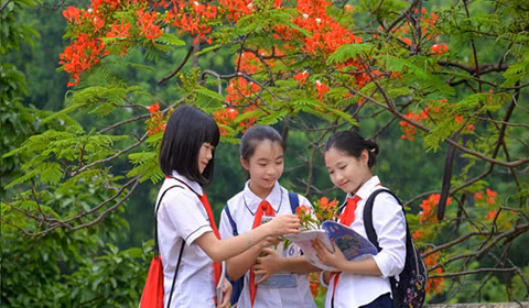 Lịch nghỉ hè sớm nhất của học sinh Hà Nội là bao giờ?