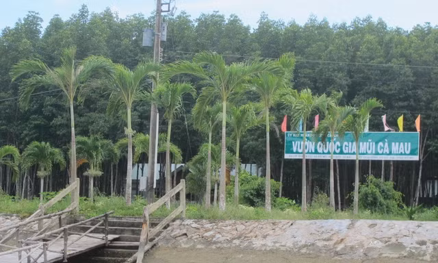 Lập quỹ trái phép và tham ô, nguyên Giám đốc Vườn Quốc gia Mũi Cà Mau lĩnh án