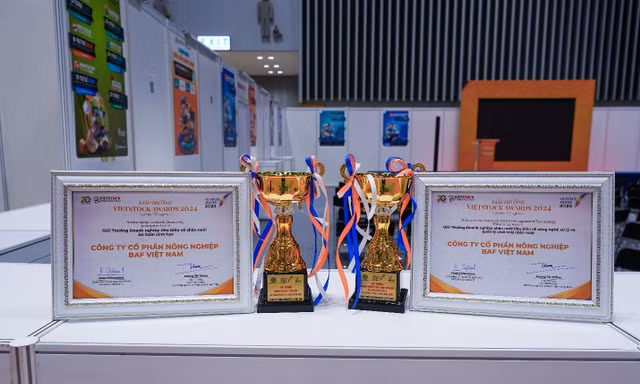 BAF Việt Nam Vinh dự đón nhận 2 giải thưởng tại Vietstock Awards 2024
