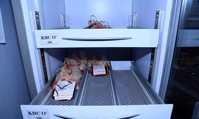 Số lượng máu dự trữ ít ỏi ở BV Đa khoa tỉnh Thái Nguyên 