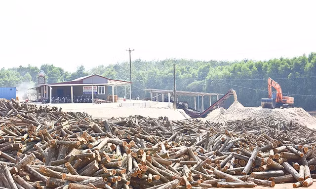 Chưa được cấp phép nhưng Cty Bắc Long Sơn vẫn xây dựng và cho nhà máy hoạt động