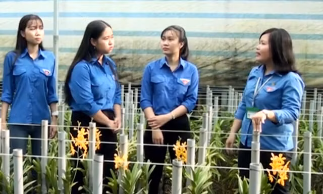 Chị Trần Thị Kim Phượng (ngoài cùng bên phải là một trong những thí sinh tham gia Liên hoan báo cáo viên giỏi toàn quốc) chia sẻ với các bạn trẻ về mô hình hoa lan Mokara Ảnh: NVCC 