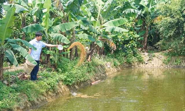 Anh Trần Văn Trường bên trang trại của mình 