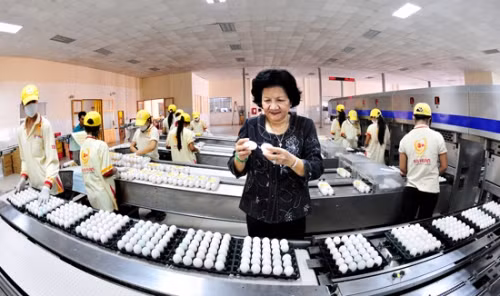 Bà Phạm Thị Huân - Giám đốc Công ty cổ phần Ba Huân. 