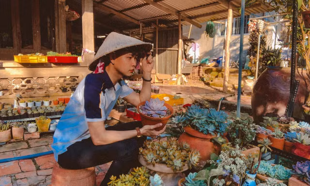 Chàng trai miền Tây sở hữu vườn sen đá khiến bao người 'mê mẩn'
