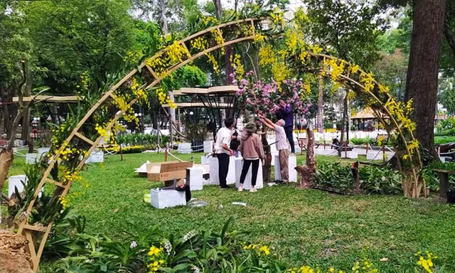 'Rừng lan' được trưng bày trong ‘Festival Hoa lan lần II’ sẽ là dịp cho bạn trẻ Sài Gòn check-in