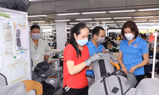 Sắp tổng điều tra kinh tế toàn quốc