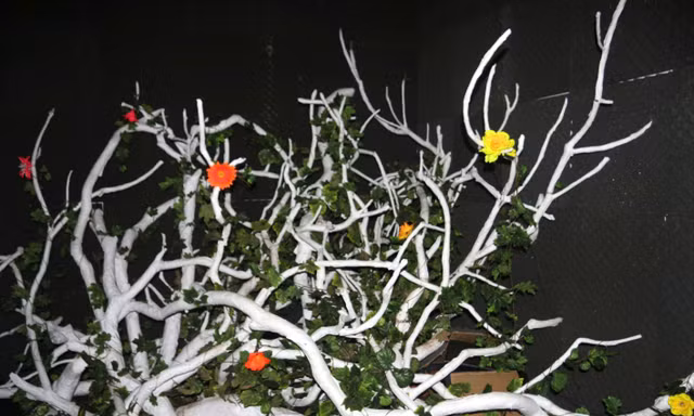 Từ ánh sáng của điện thoại chiếu lên từng bông hoa thì chúng sẽ phản hồi những âm thanh khác nhau