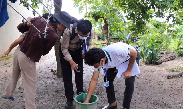 Ngành Y tế Đắk Lắk tăng cường các biện pháp diệt muỗi tại các khu dân cư