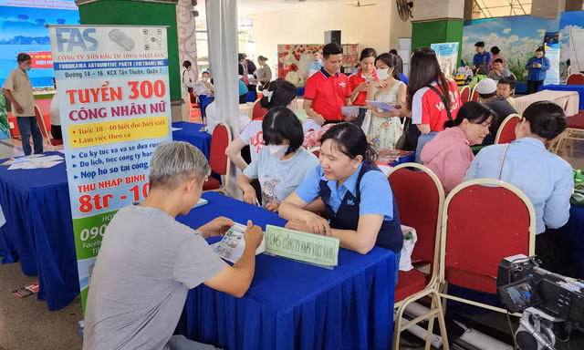 Sinh viên tìm việc làm tại Ngày hội việc làm cuối tháng 11/2024