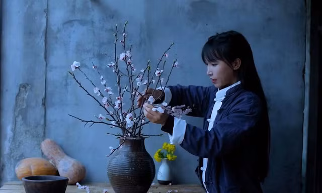 “Tiên nữ đồng quê” Lý Tử Thất có nguy cơ mất trắng tất cả những gì mình đã xây nên