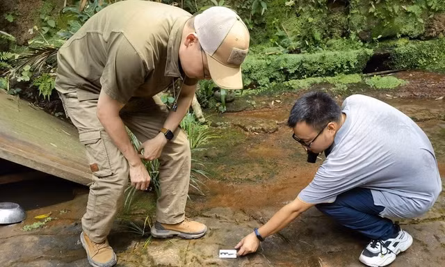 Trung Quốc: Phát hiện dấu chân khủng long tại một nhà hàng ở Tứ Xuyên