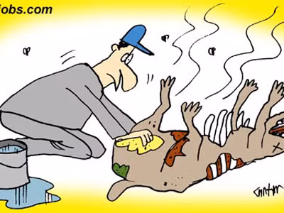 7 công việc kỳ quặc khiến bạn bất ngờ