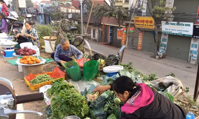 Giá rau xanh rớt giá so với trước Tết. Ảnh: Đ.H
