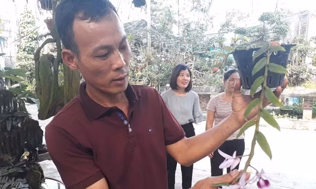 Anh Tuất đang giới thiệu lan cho khách đến mua và tham quan tại vườn 
