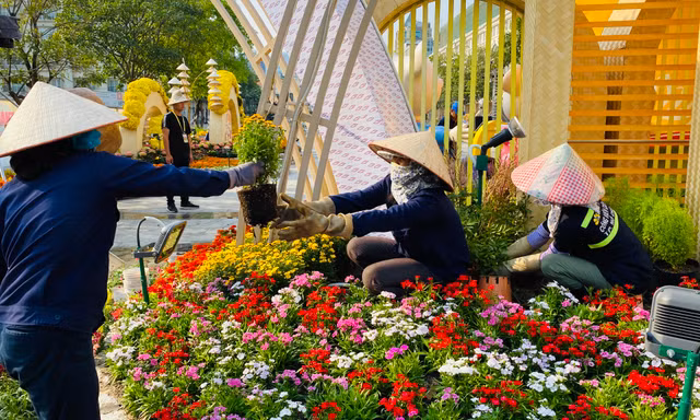 Công nhân 'chạy nước rút' trước giờ khai mạc đường hoa Nguyễn Huệ