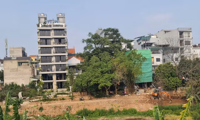 Đổ đất lấp hồ Quảng Bá để mở đường vào nhà: Yêu cầu hoàn trả nguyên trạng trước ngày 10/3