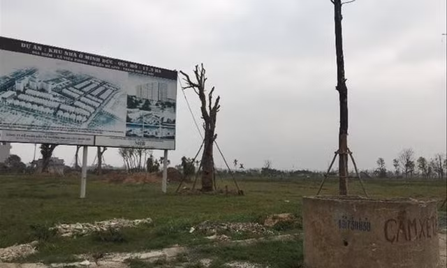 Điểm tên 14 dự án treo, diện tích gần 1.000 ha bị thu hồi tại huyện Mê Linh