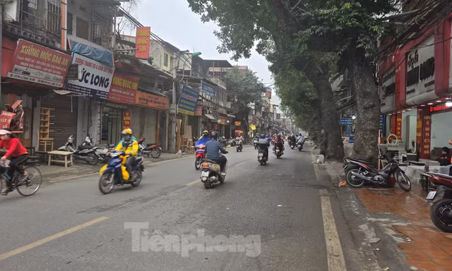 Di chuyển, chặt hạ gần 100 cây xanh để mở đường Vành đai 1