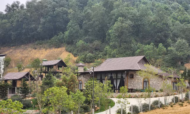 Hà Nội: Lấn chiếm đất rừng, xây dựng khu nghỉ dưỡng trái phép