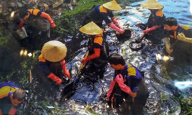 Trao giải, trưng bày ảnh cuộc thi 'Thủ đô Hà Nội xanh - sạch - đẹp 2016'