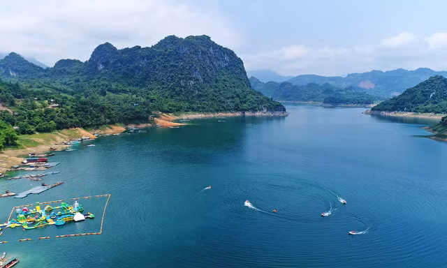 Sắp tổ chức đấu giá 'thủy quái' hồ Hòa Bình