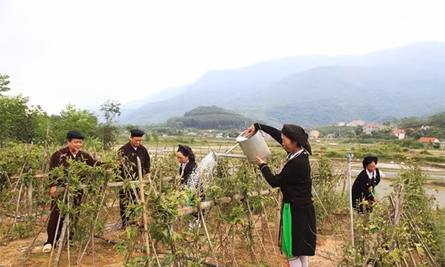 Vĩnh Phúc tăng cường đổi mới hoạt động tuyên truyền bình đẳng giới vùng dân tộc thiểu số