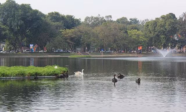 Hồ Thiền Quang tại quận Hai Bà Trưng