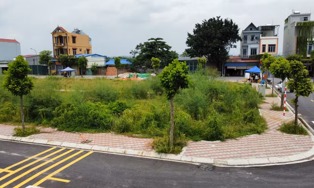 Đấu giá đất Thanh Oai (Hà Nội): 55 lô đất giá cao bỏ cọc