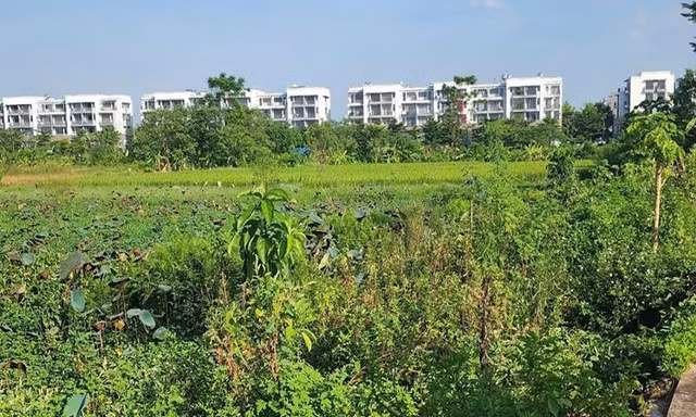 Vĩnh Phúc thu hồi gần 1,1ha đất của 14 hộ để làm dự án đô thị