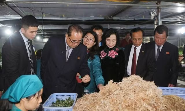 Phó Chủ tịch Triều Tiên ấn tượng với nữ lãnh đạo hợp tác xã