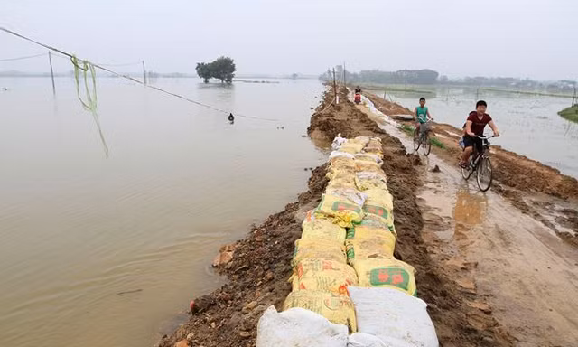 Chi trăm tỷ đồng kè đê Bùi bằng bê tông: Cần tính toán kỹ