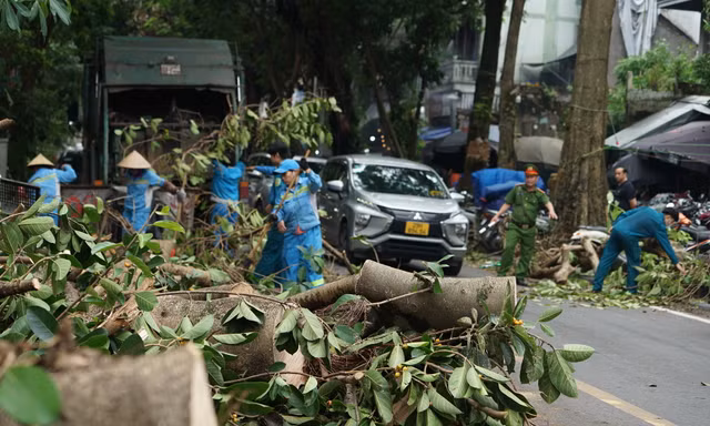 Khắc phục tình trạng cây xanh đổ ngổn ngang trên đường phố Hà Nội