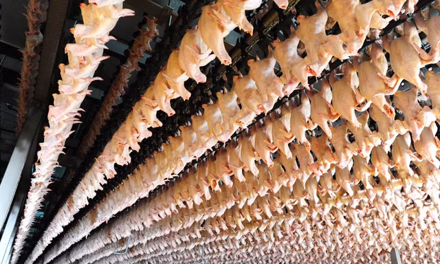 Tiếp tục kiểm tra nhà máy giết mổ của Công ty C.P Việt Nam tại Hà Nội