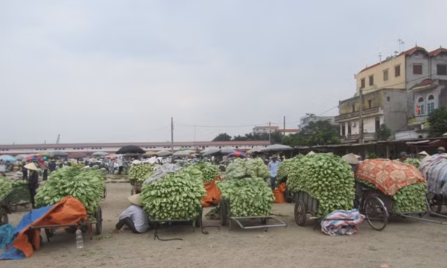 Hà Nội muốn xây chợ đầu mối 250 triệu USD kiểm soát thực phẩm