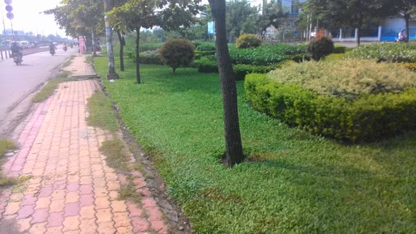 Nơi phát hiện thi thể.