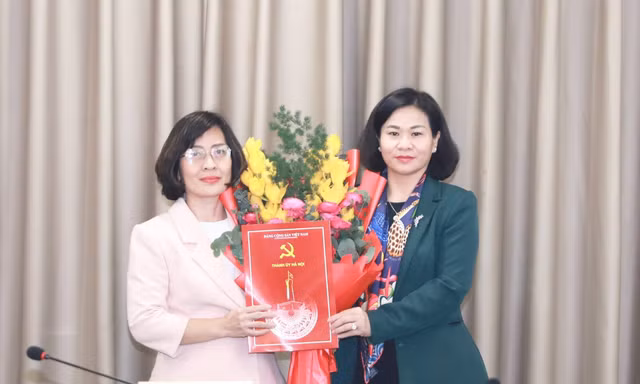 Điều động, luân chuyển, bổ nhiệm cán bộ chủ chốt ở Hà Nội và 11 tỉnh