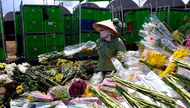 Hàng vạn cành hoa Đà Lạt không xuất khẩu được phải đổ bỏ, Bộ Nông nghiệp nói gì?