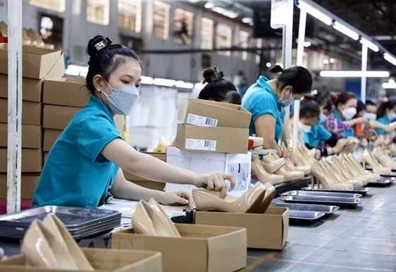 Phụng sự doanh nghiệp, thay đổi văn hóa 'đi xin, đi chạy'